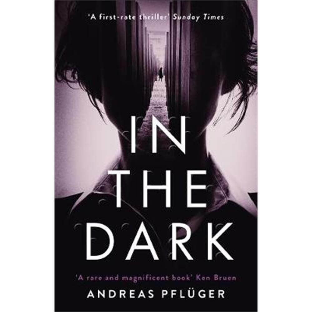 In the Dark (Paperback) - Andreas Pfluger